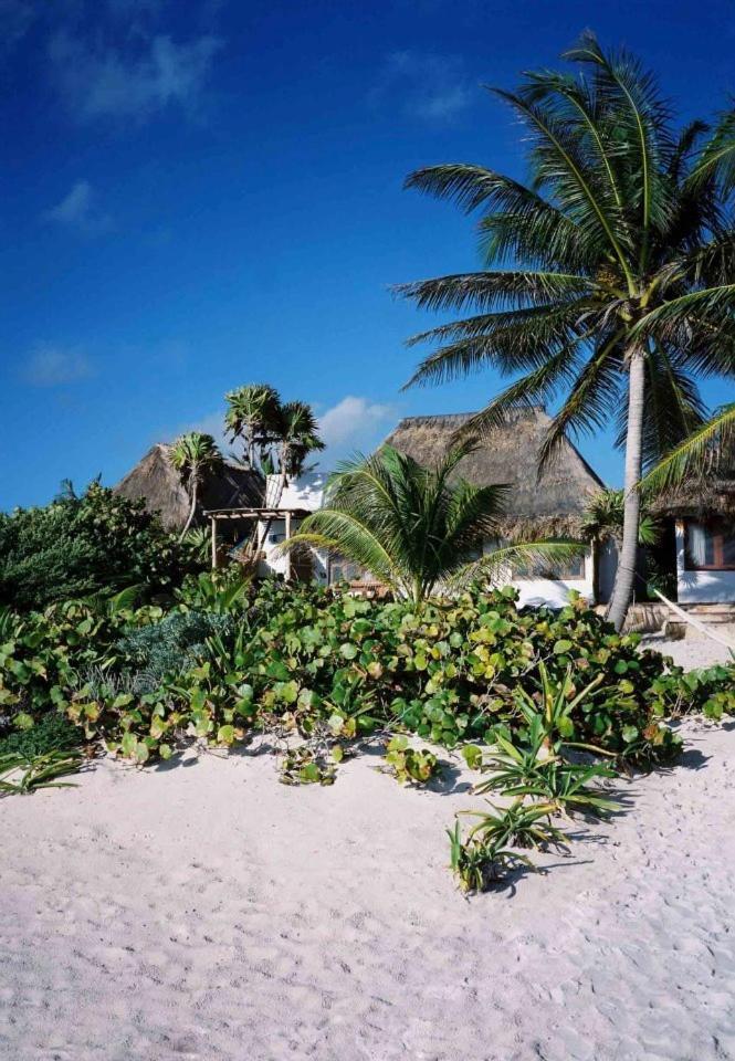 Casa Violeta Hotel Tulum Exterior photo